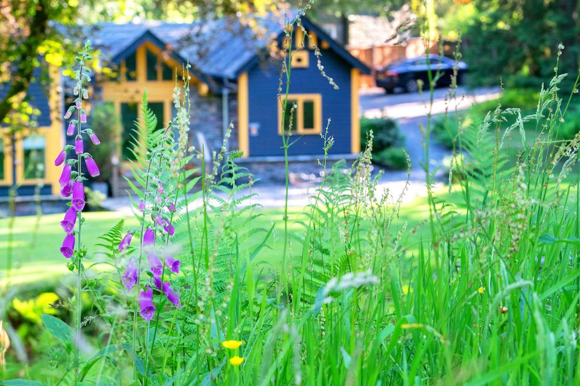 Carr Crag Pavilion Little Langdale Exterior foto